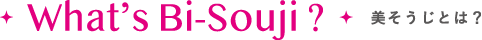 What's Bi-souji? 美そうじとは？